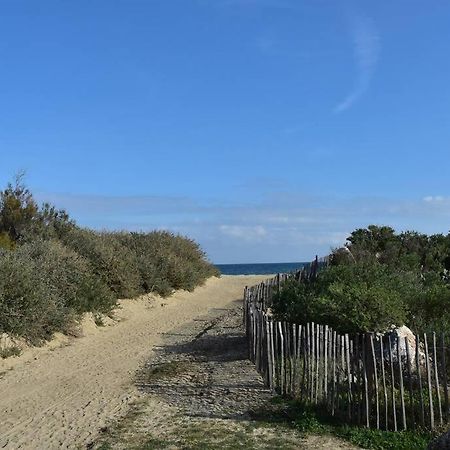 Les Goelettes - Appartement En Rdc Avec Acces Direct A La Plage Saint-Cyprien  Exterior foto