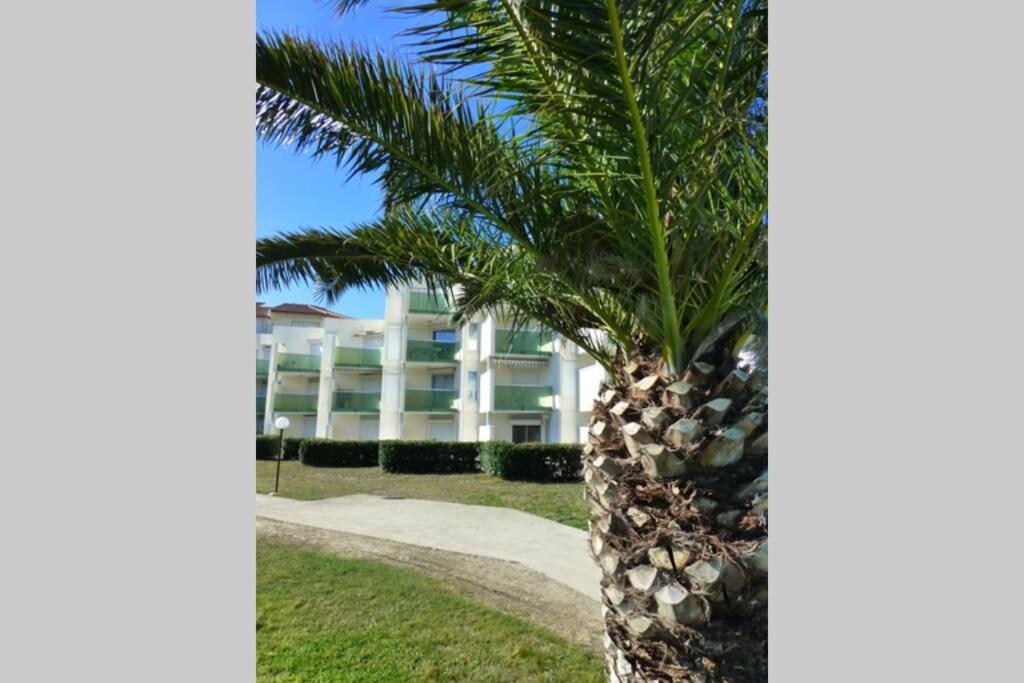 Les Goelettes - Appartement En Rdc Avec Acces Direct A La Plage Saint-Cyprien  Exterior foto