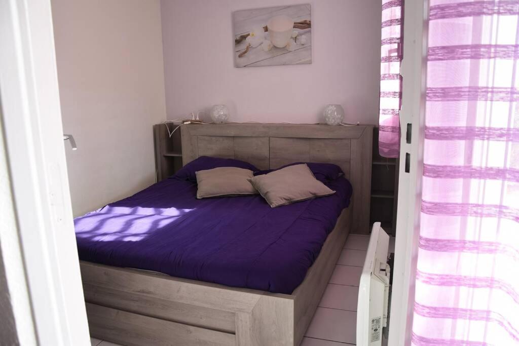 Les Goelettes - Appartement En Rdc Avec Acces Direct A La Plage Saint-Cyprien  Exterior foto