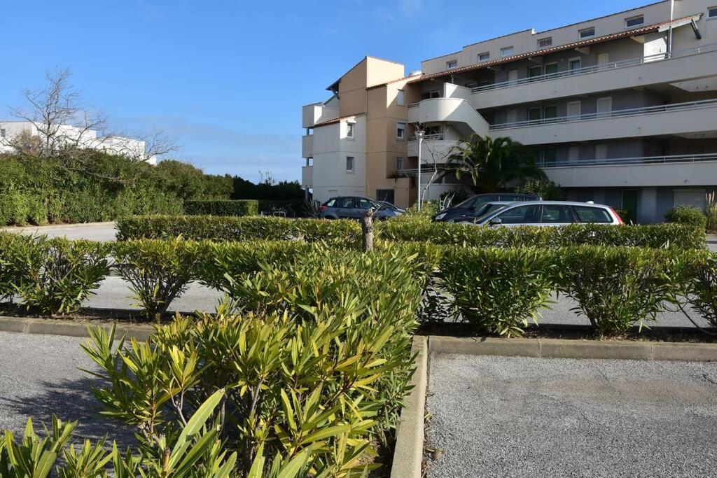 Les Goelettes - Appartement En Rdc Avec Acces Direct A La Plage Saint-Cyprien  Exterior foto
