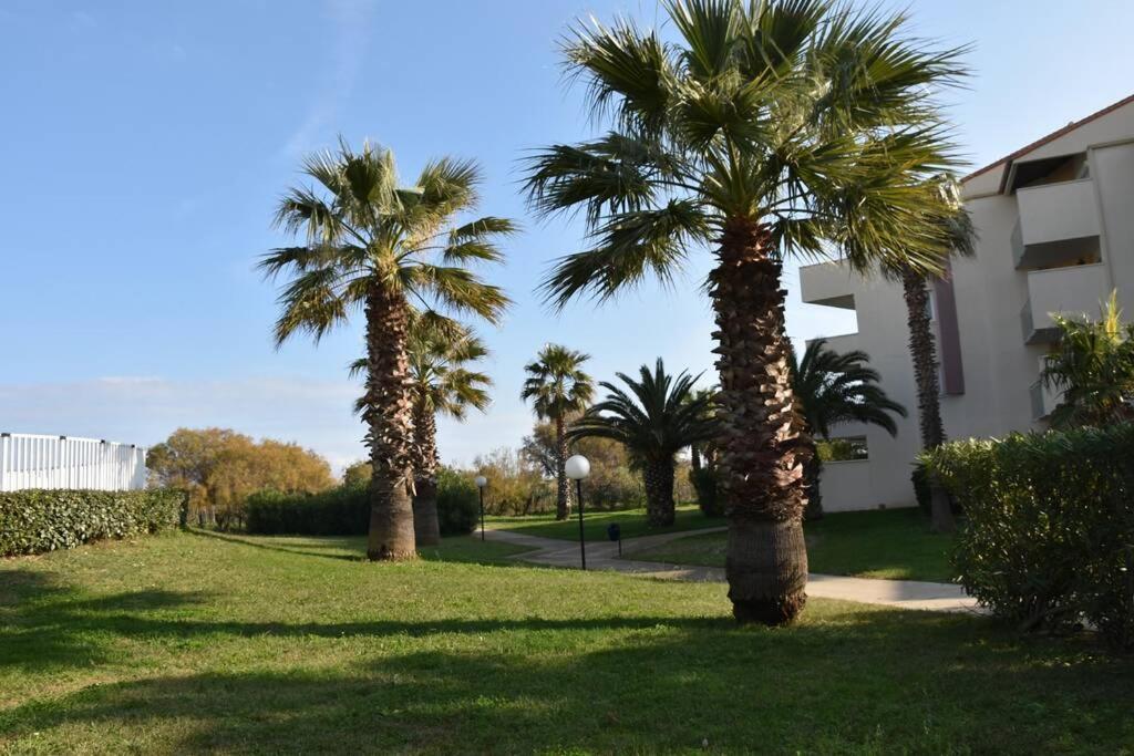 Les Goelettes - Appartement En Rdc Avec Acces Direct A La Plage Saint-Cyprien  Exterior foto