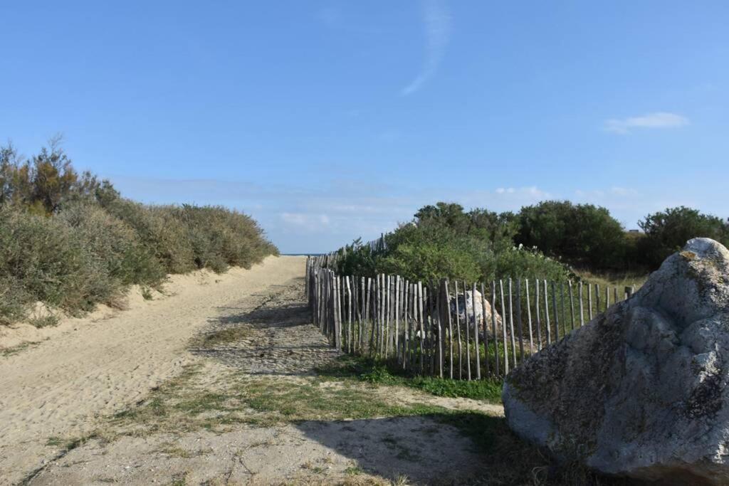 Les Goelettes - Appartement En Rdc Avec Acces Direct A La Plage Saint-Cyprien  Exterior foto