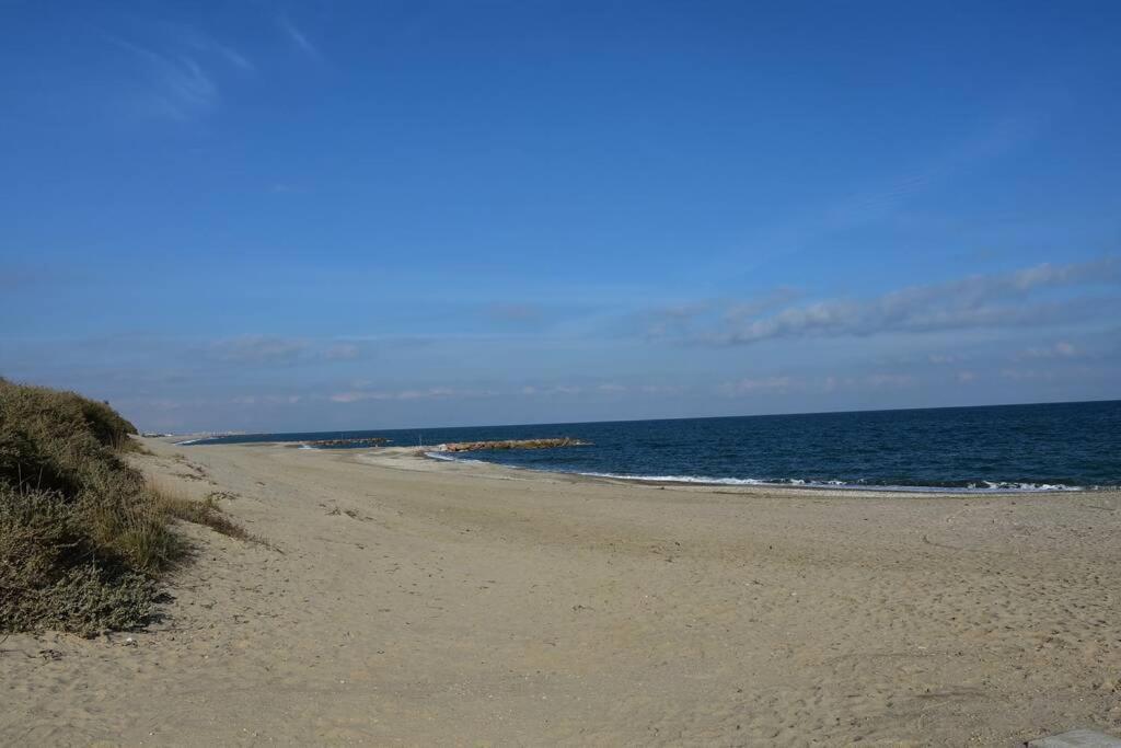 Les Goelettes - Appartement En Rdc Avec Acces Direct A La Plage Saint-Cyprien  Exterior foto