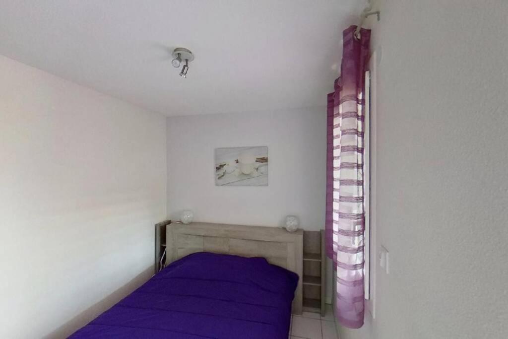 Les Goelettes - Appartement En Rdc Avec Acces Direct A La Plage Saint-Cyprien  Exterior foto